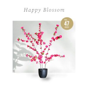 Happy Blossom Roze Bloesemboom