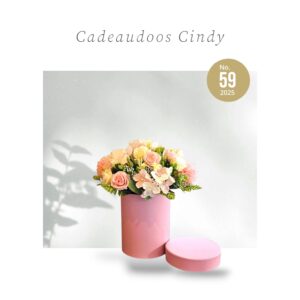 Cadeau doos roze